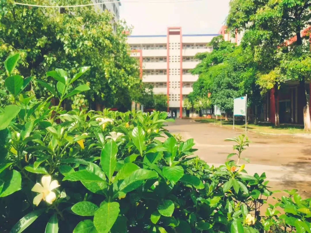 青春科创 | 那些科创校园里的CP故事