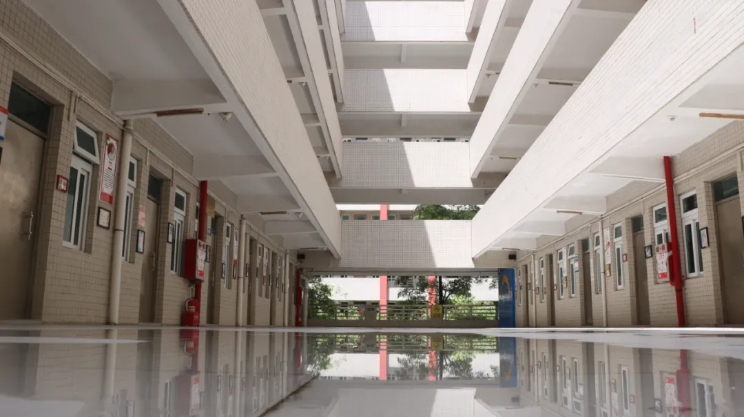 青春科创 | 那些科创校园里的CP故事