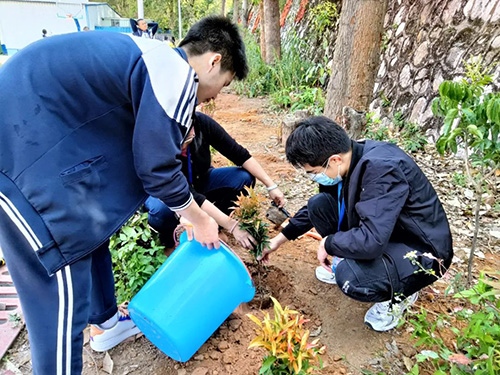 植树活动