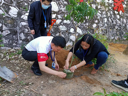植树活动