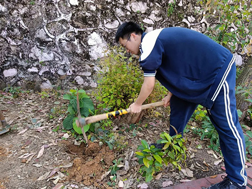 植树活动