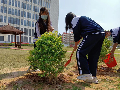 植树活动