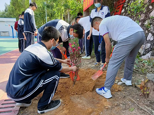植树活动