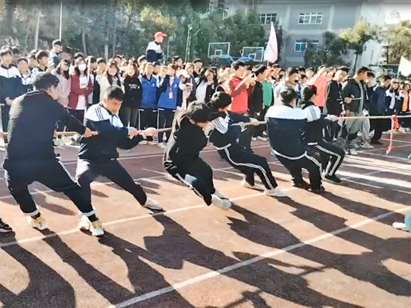 篮球运动