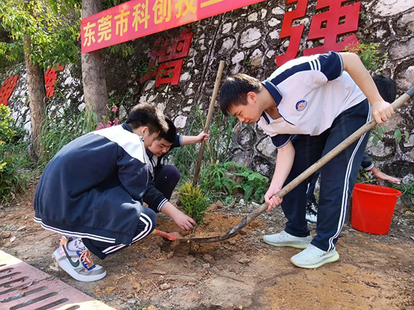植树活动