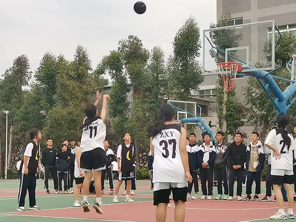 篮球运动