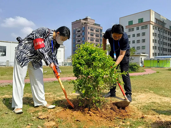植树活动