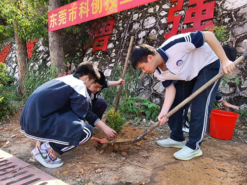 植树活动