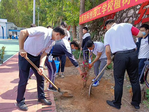 植树活动